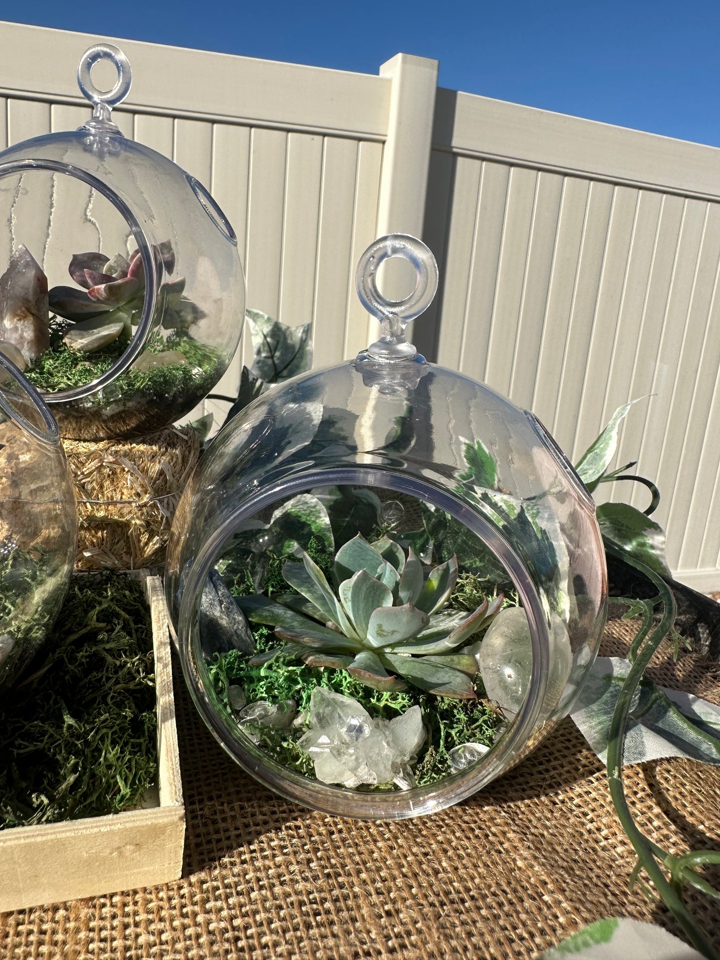 Crystal & Succulent Terrarium 