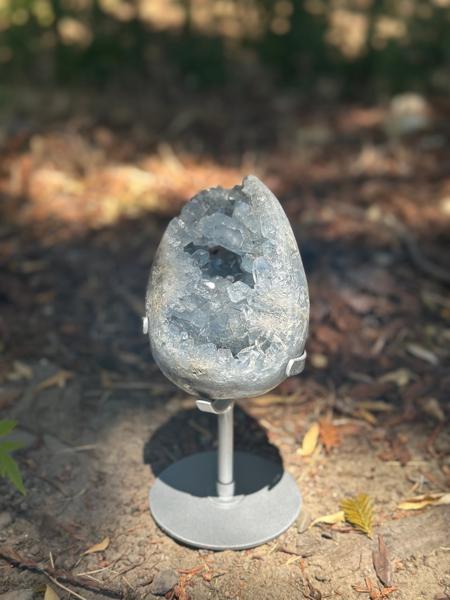 Blue Celestite Egg