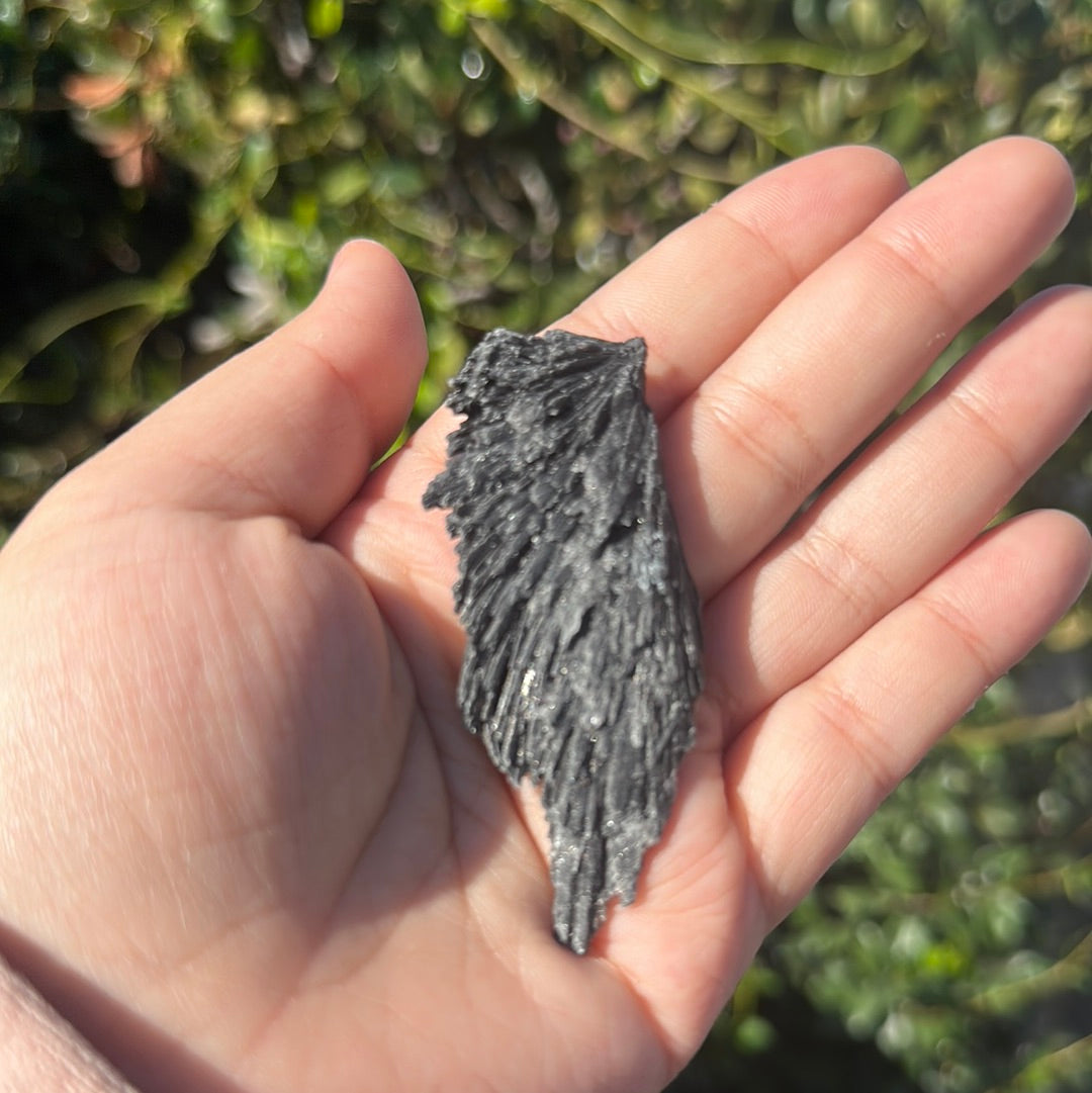Black kyanite