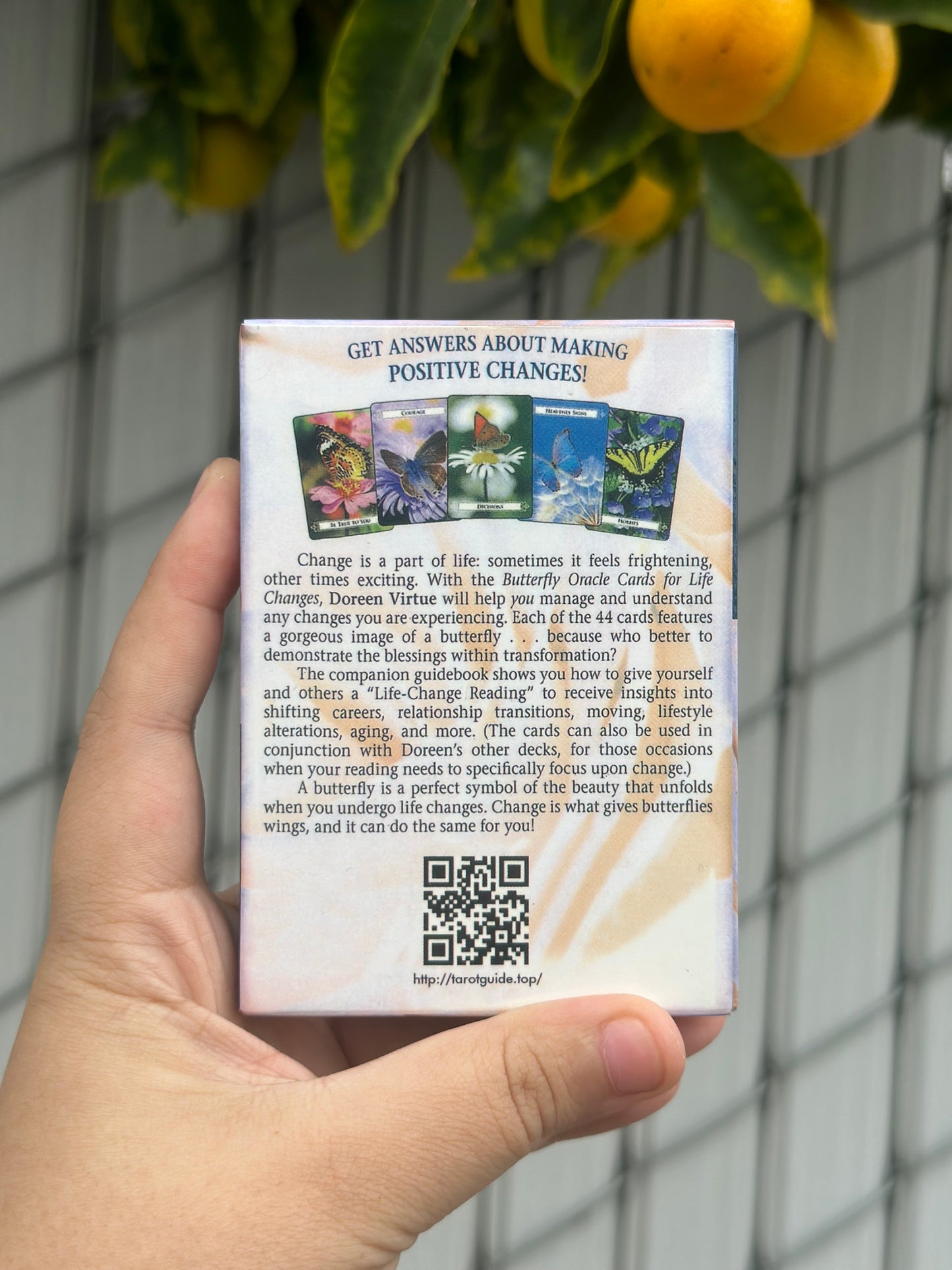 Butterfly Oracle Cards