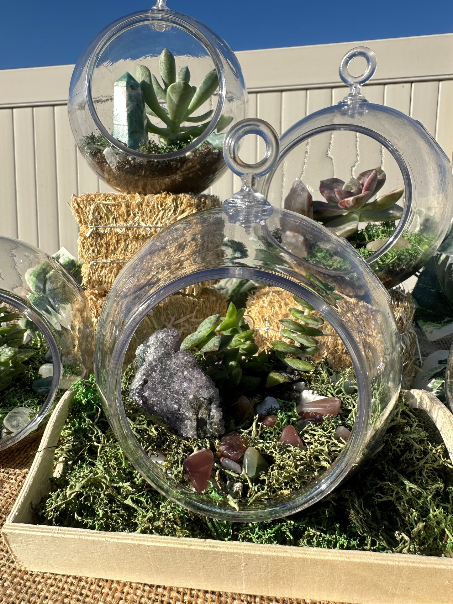 Crystal & Succulent Terrarium 