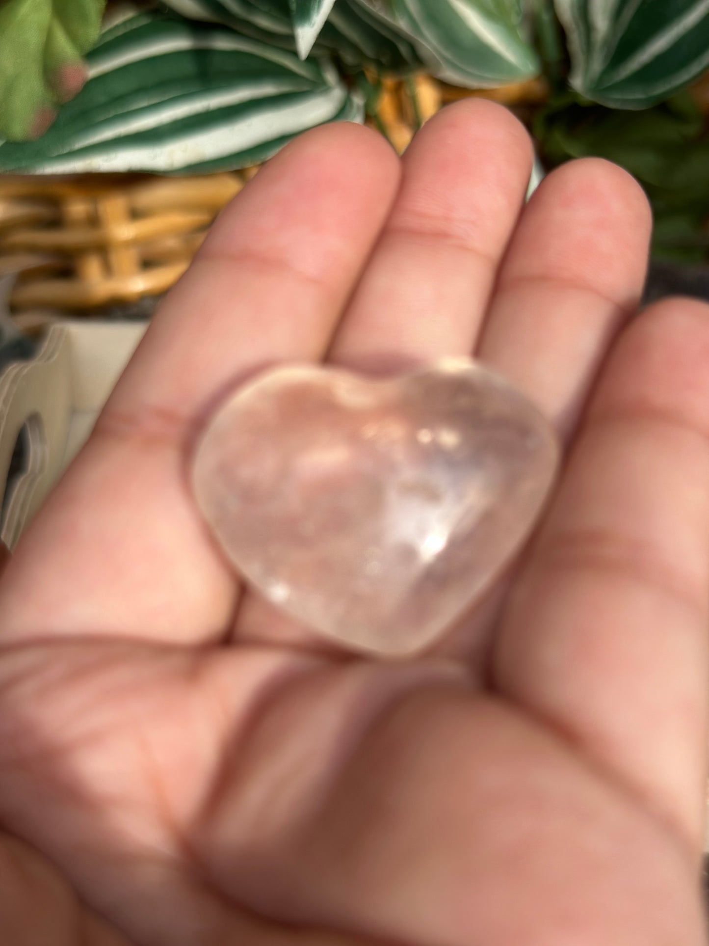 Hearts