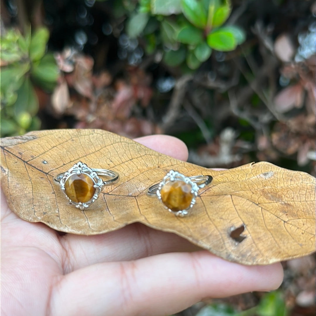 Tigers Eye