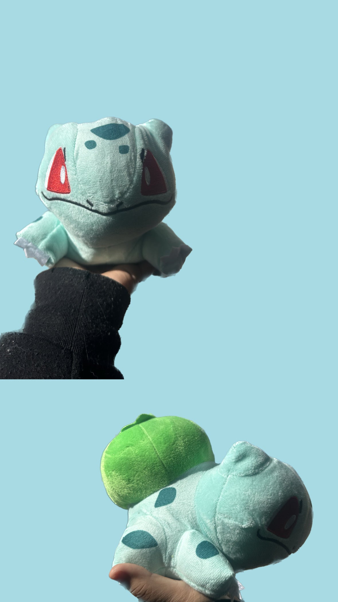 Pokémon Plushies