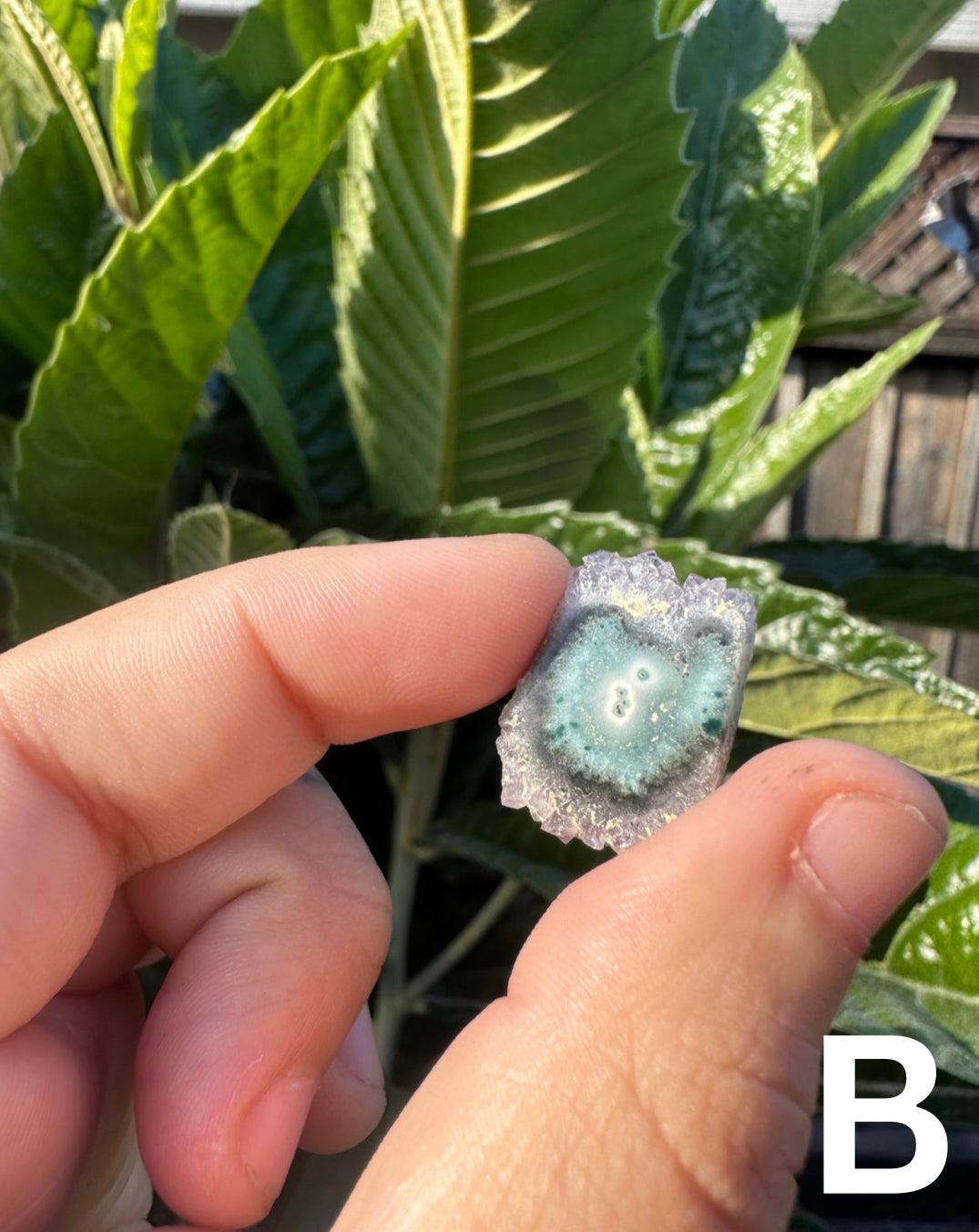 Amethyst Stalactite Slices