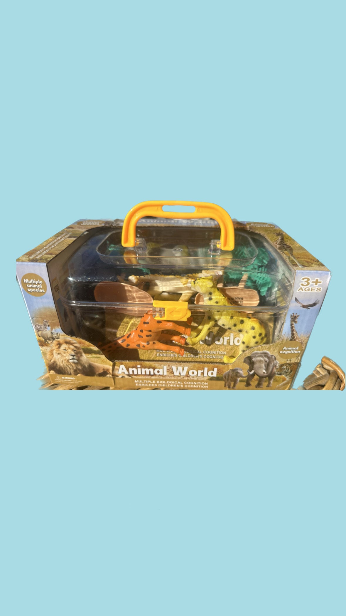 Figure Sets