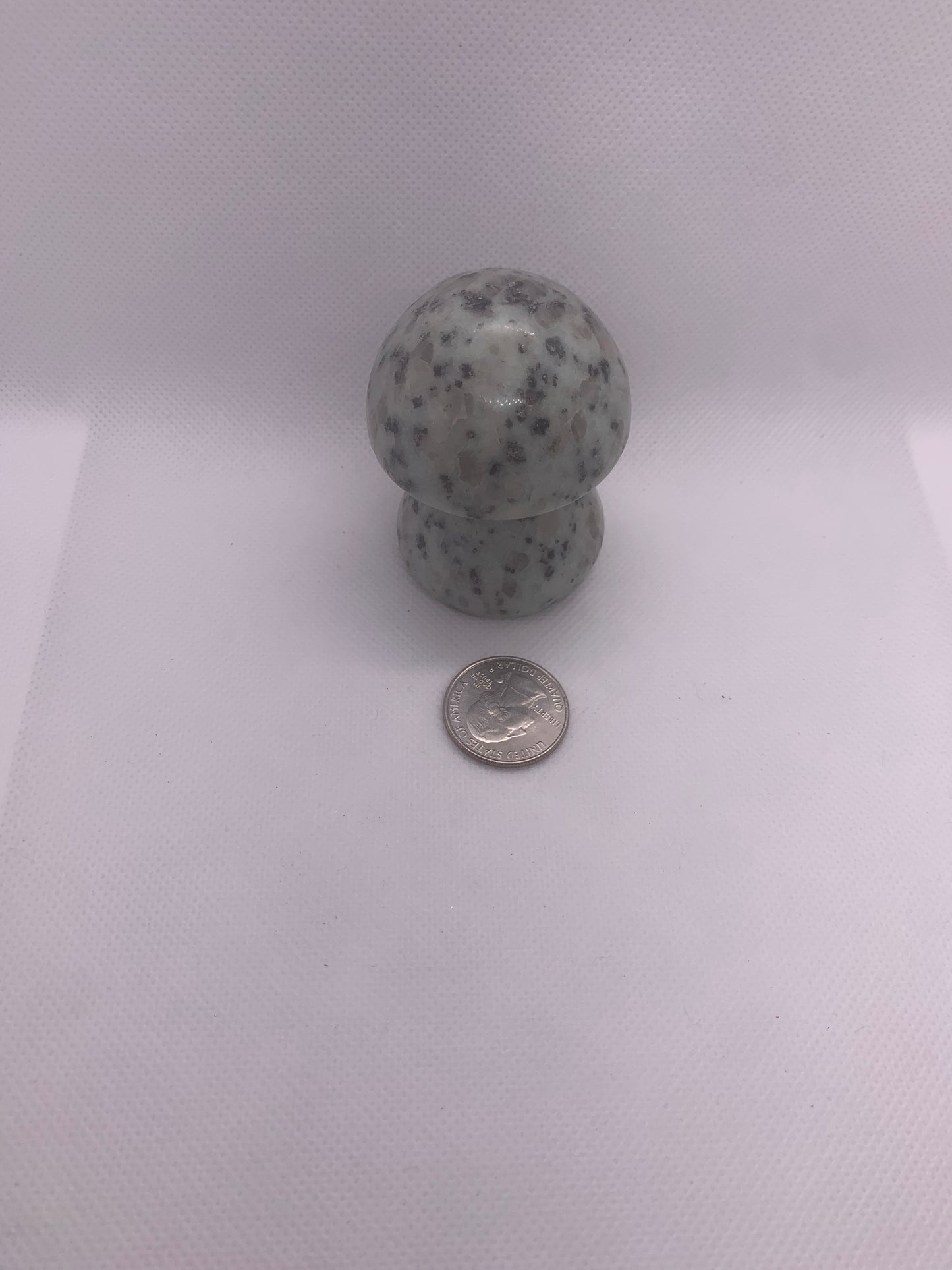 Kiwi Jasper
