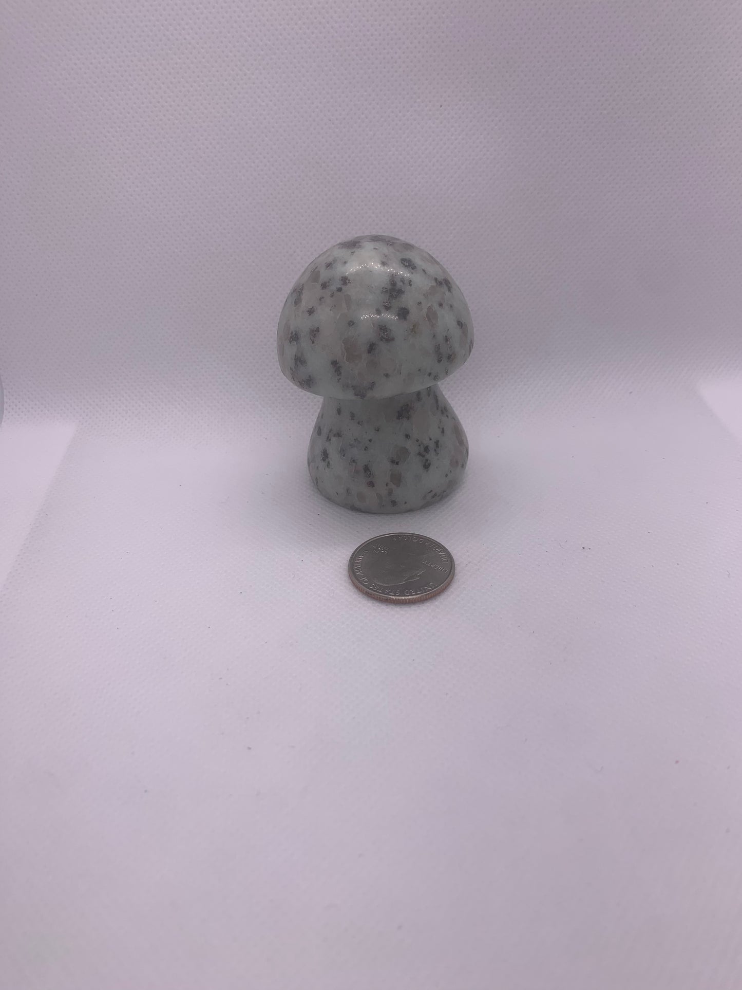 Kiwi Jasper