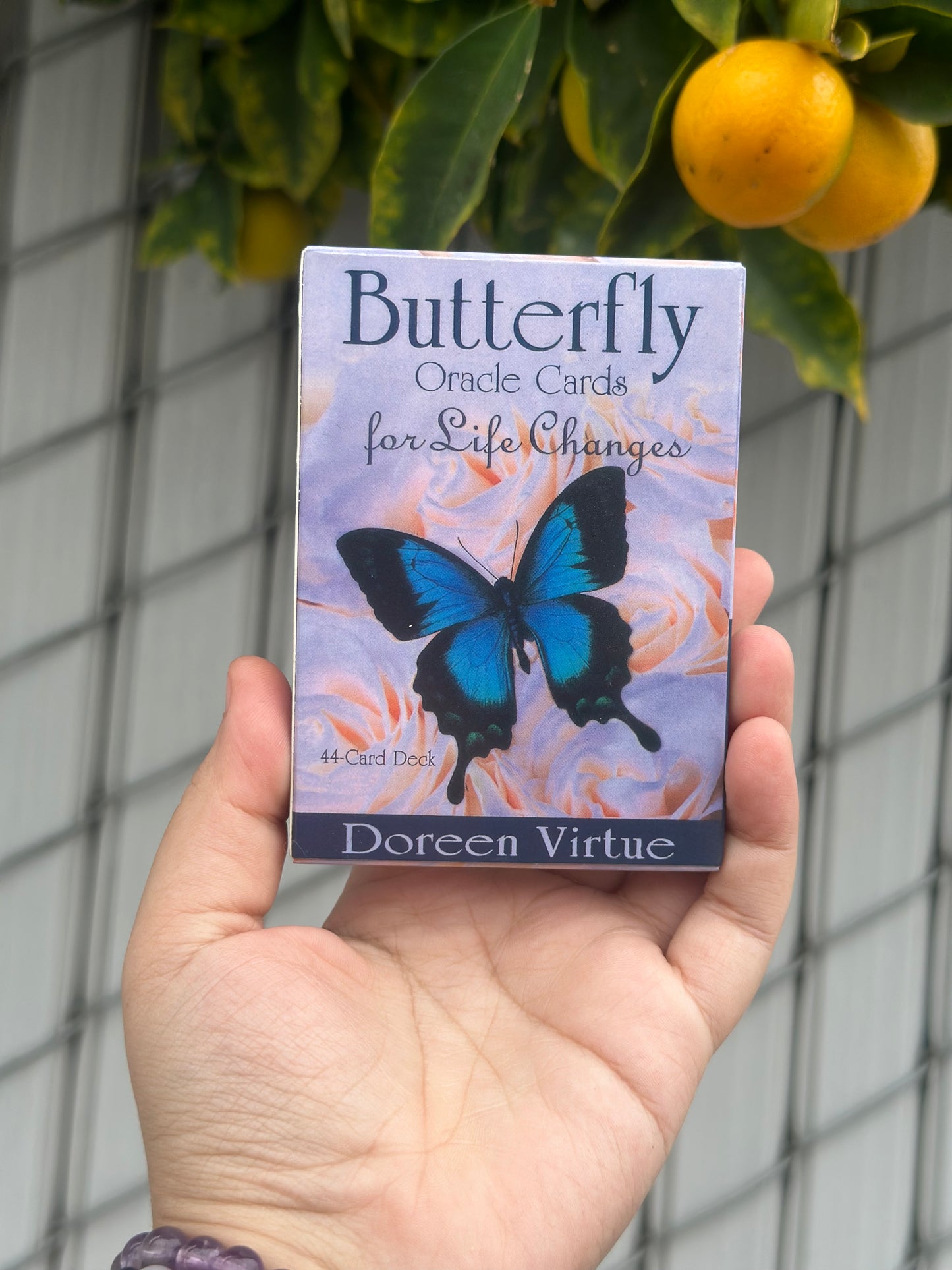 Butterfly Oracle Cards