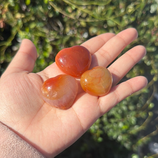Carnelian Hearts