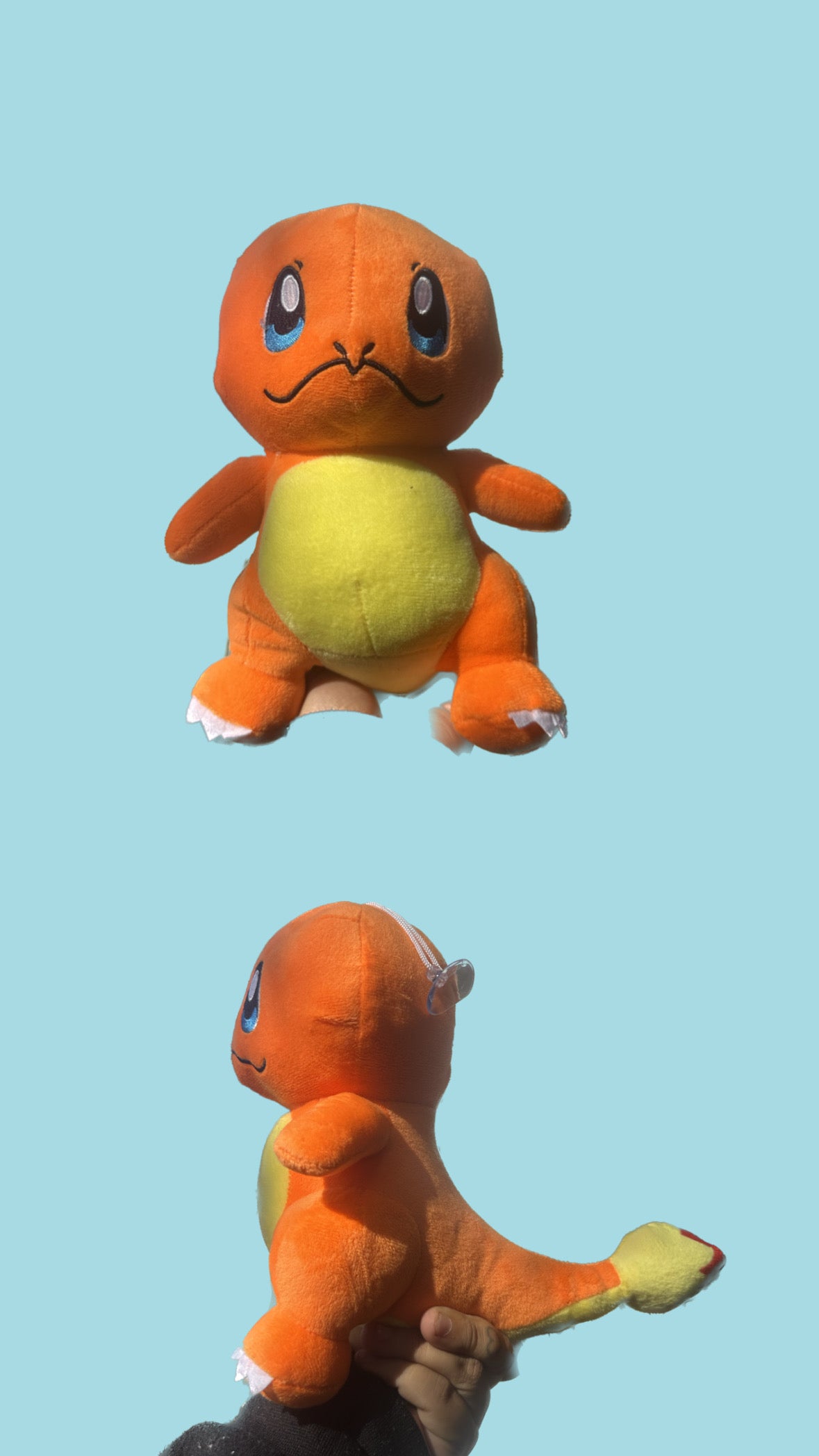 Pokémon Plushies