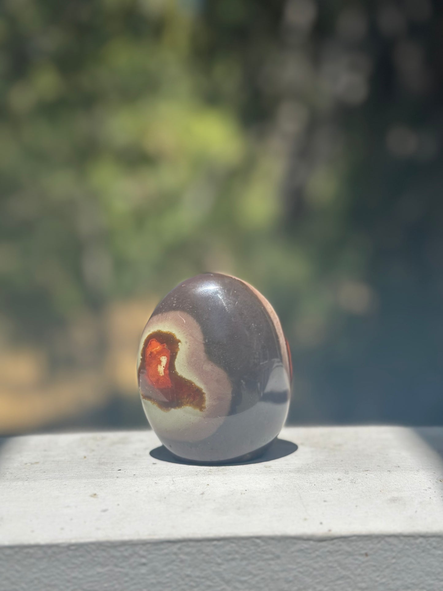 Poly Chrome