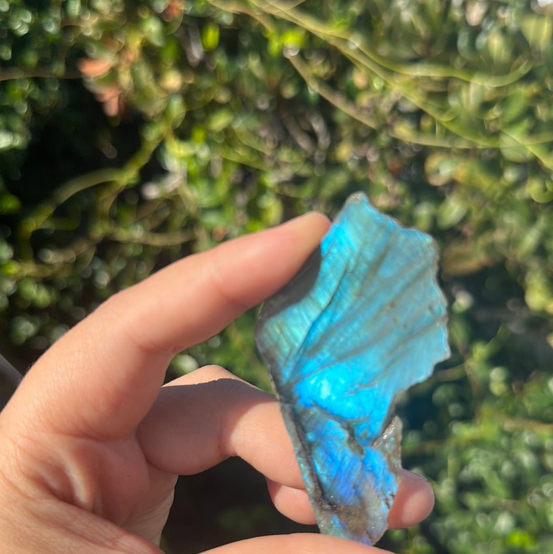 Labradorite slabs