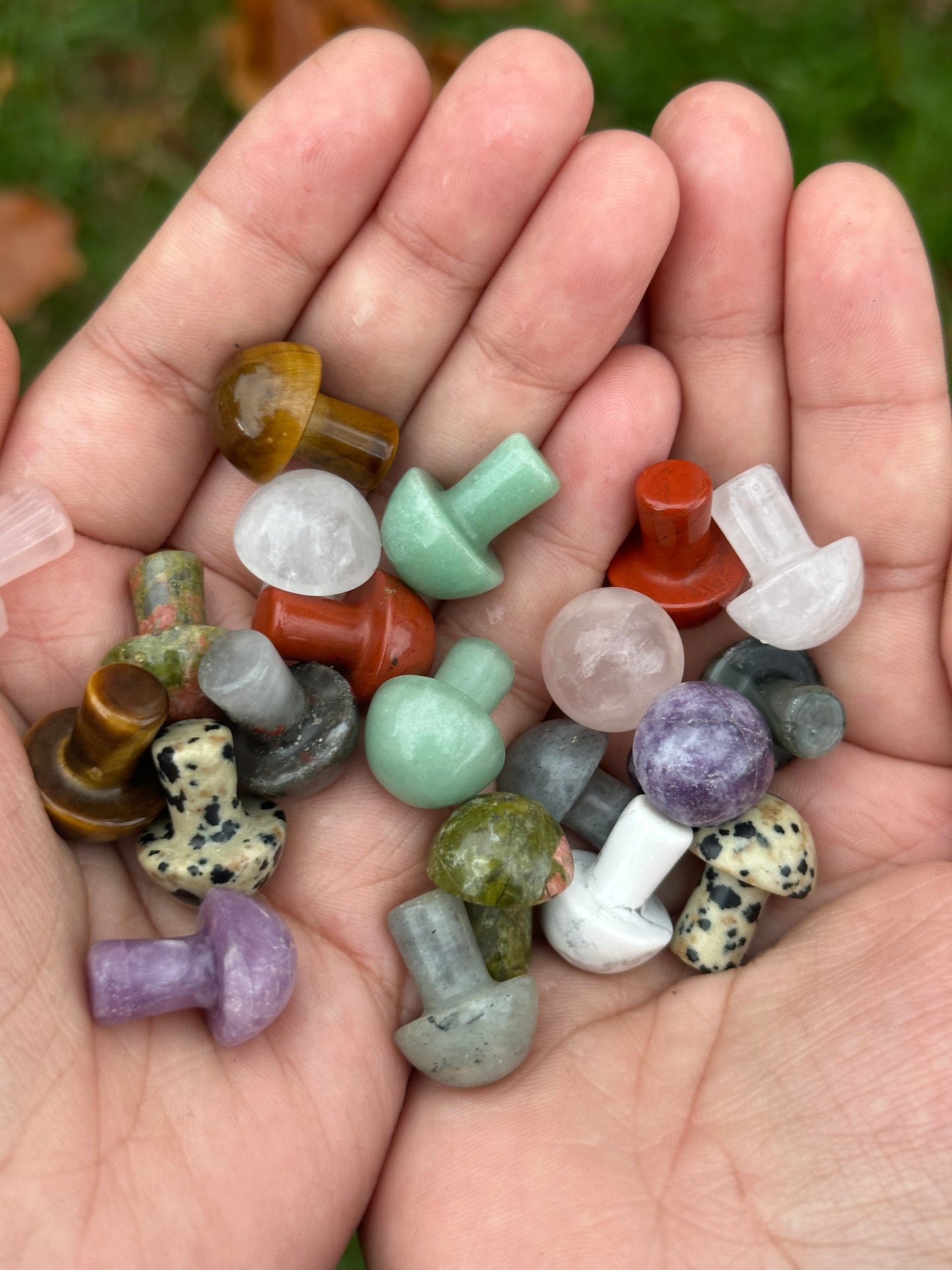 Mini Mushrooms