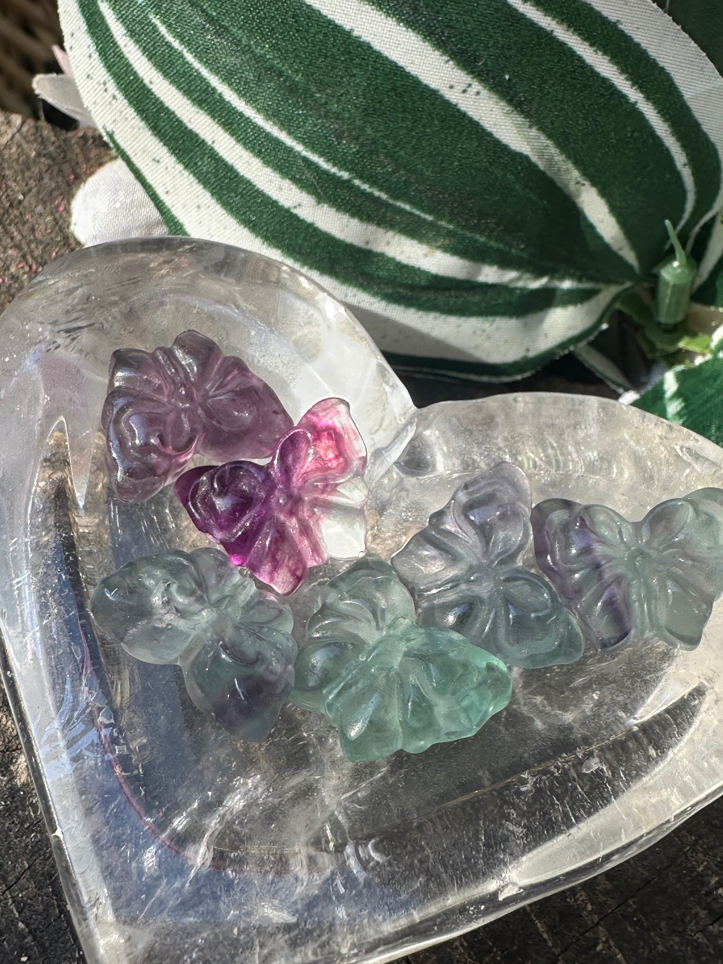 Fluorite Butterfly