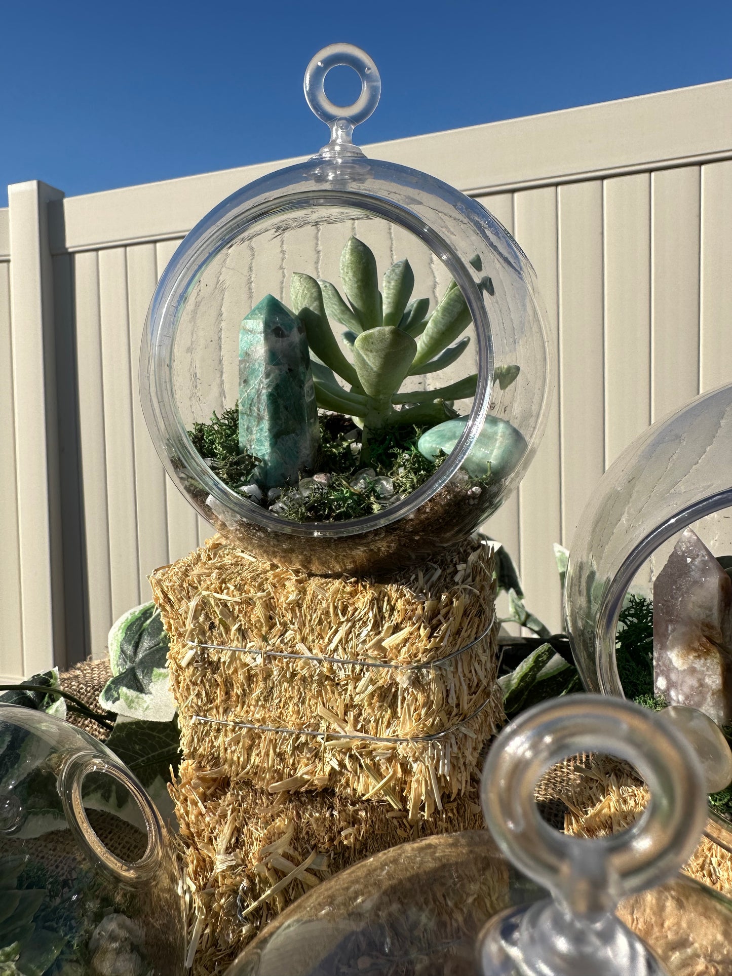 Crystal & Succulent Terrarium ￼