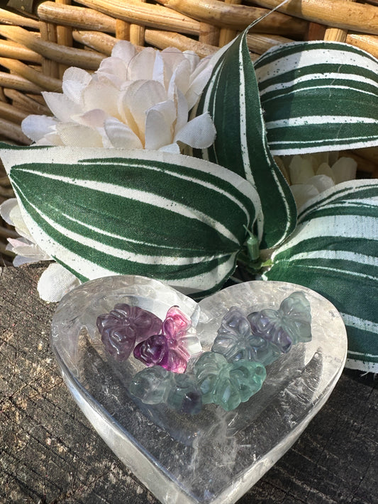 Fluorite Butterfly
