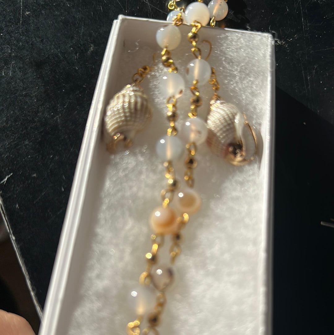 Agate shells