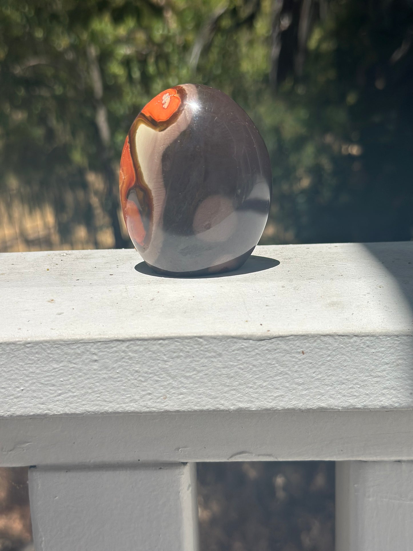 Poly Chrome