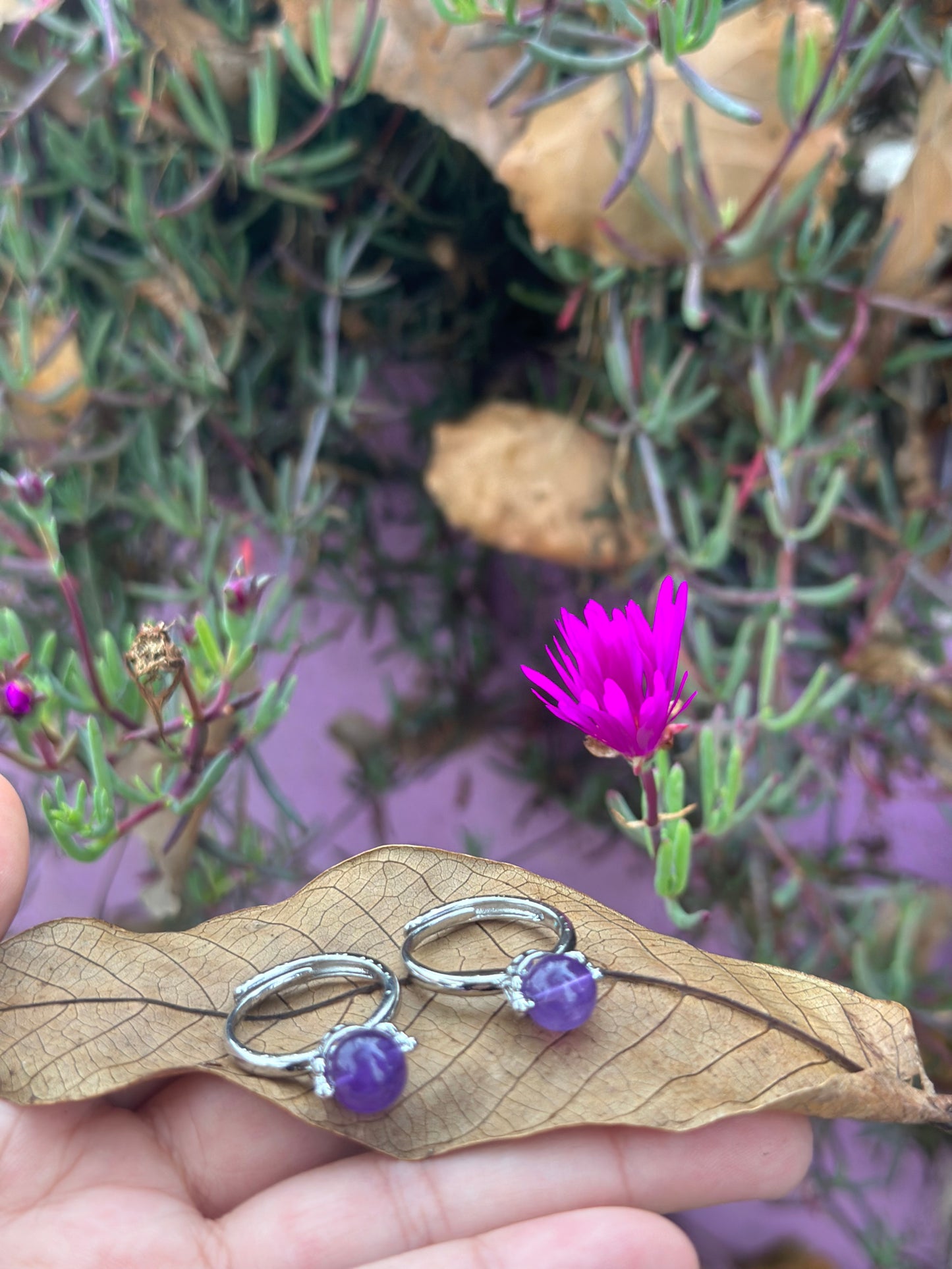 Worry Rings