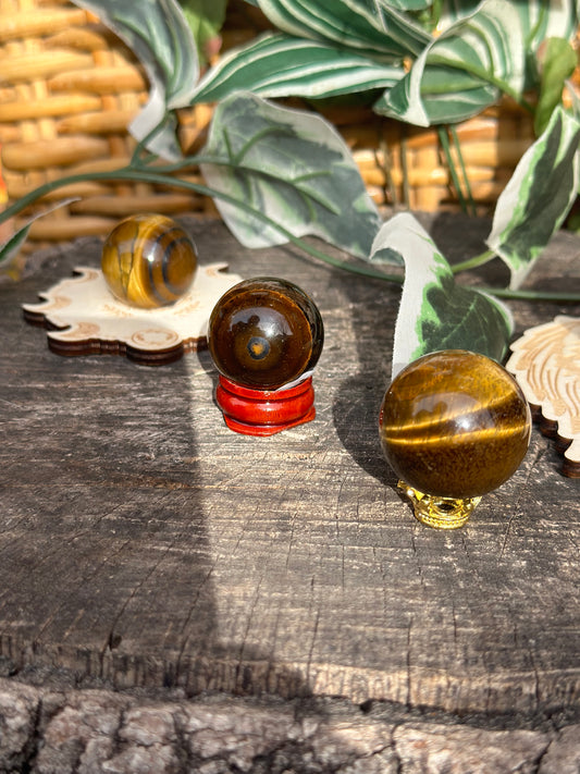 Tigers eye