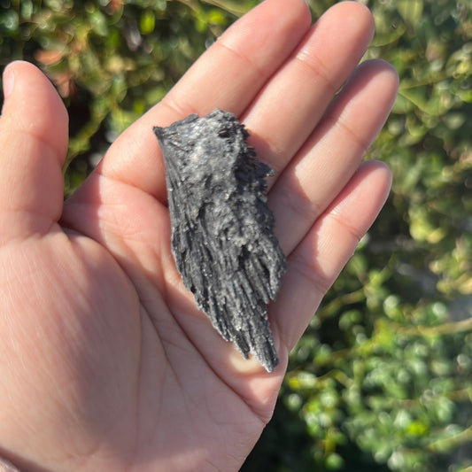 Black kyanite
