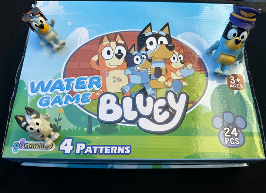 Bluey Water Game