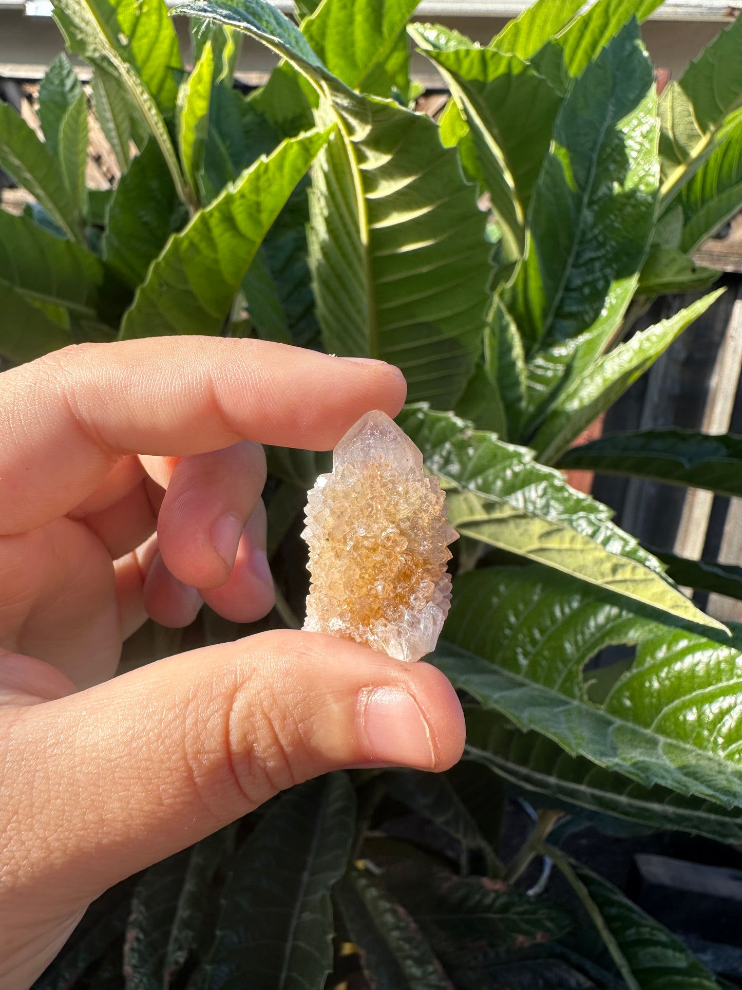 Spirits Quartz