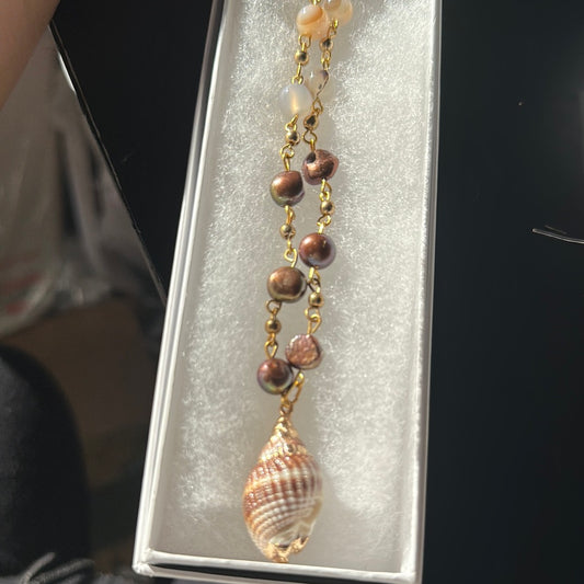 Agate shells