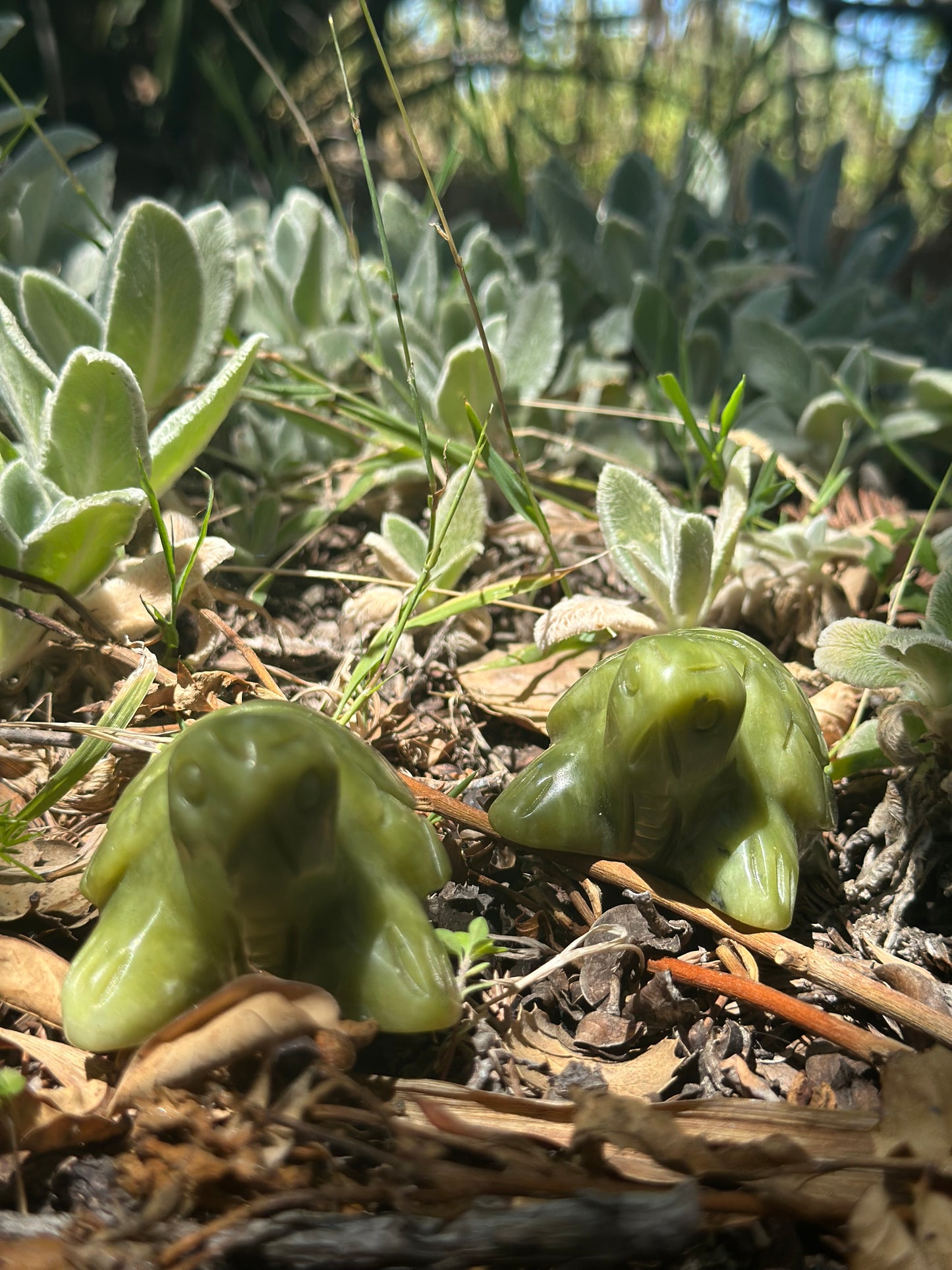Serpentine Jade