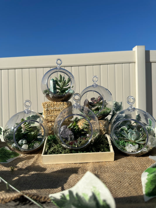 Crystal & Succulent Terrarium ￼