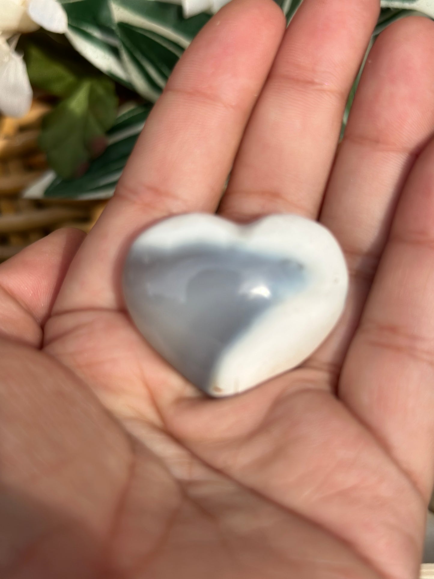 Hearts