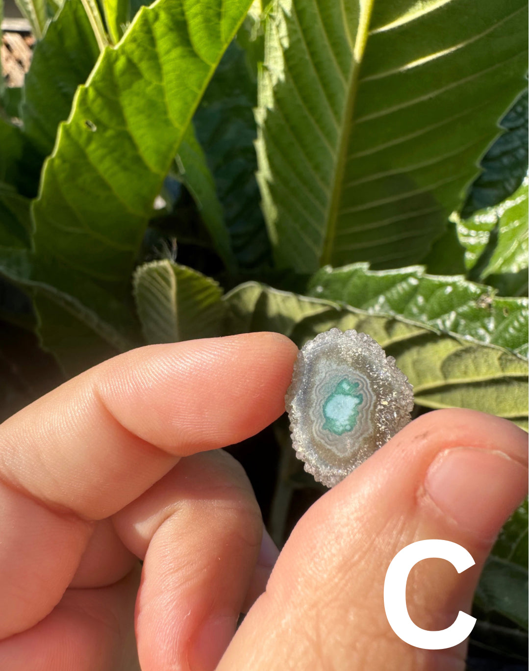 Amethyst Stalactite Slices