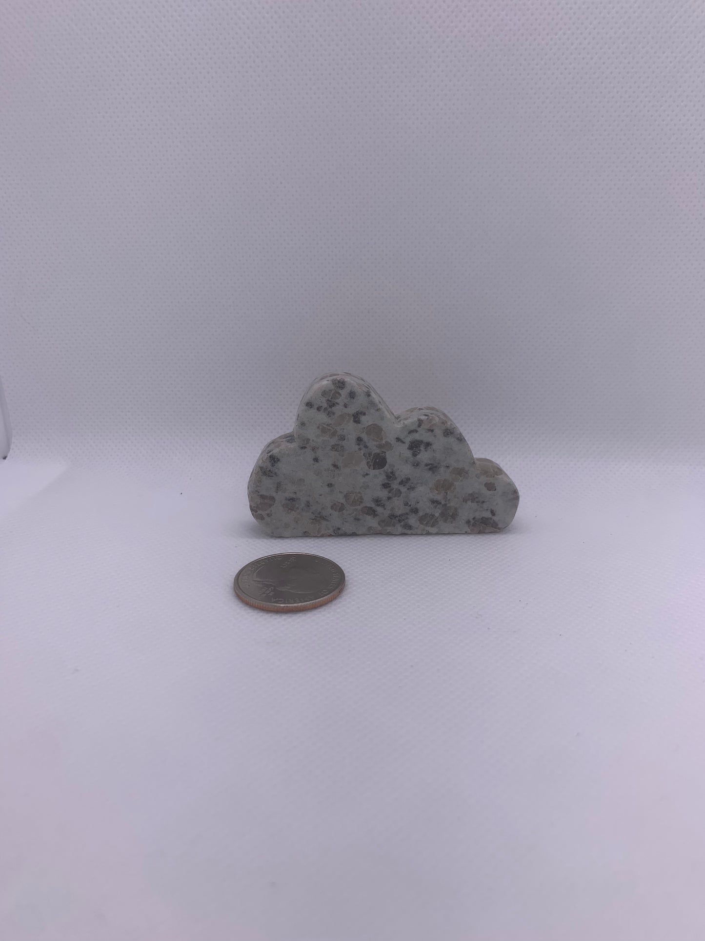 Kiwi Jasper Cloud