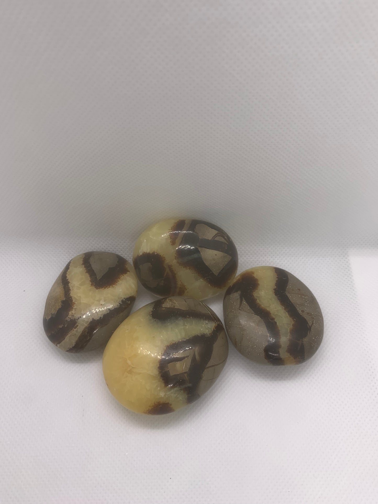 Septarian