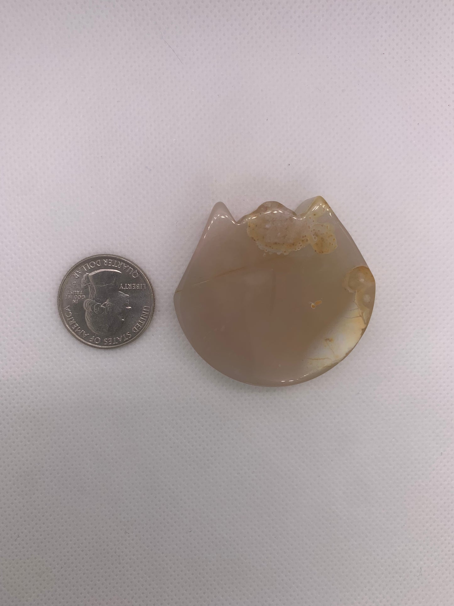 Flower Agate Kitten