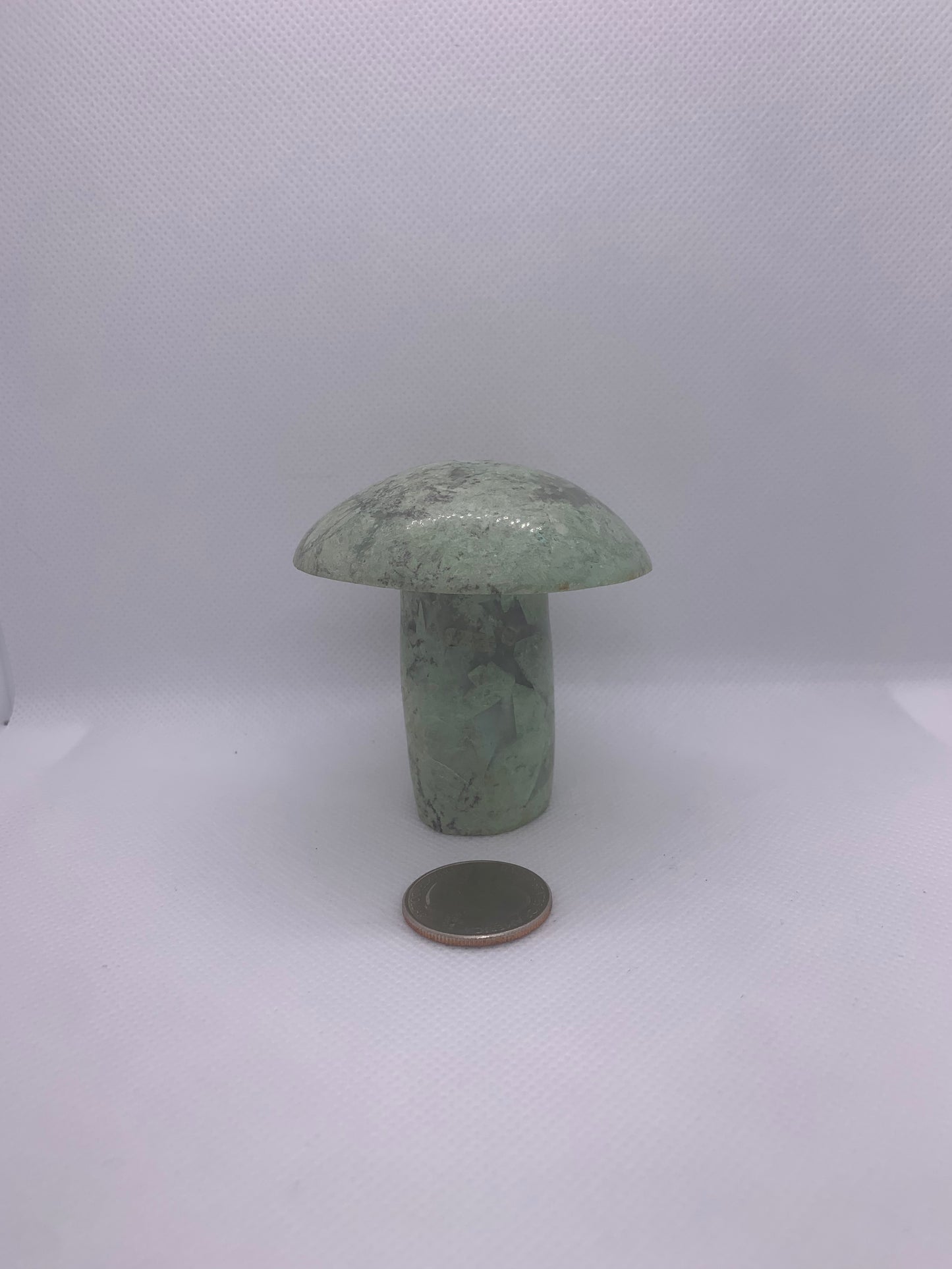 Mariposite Mushroom