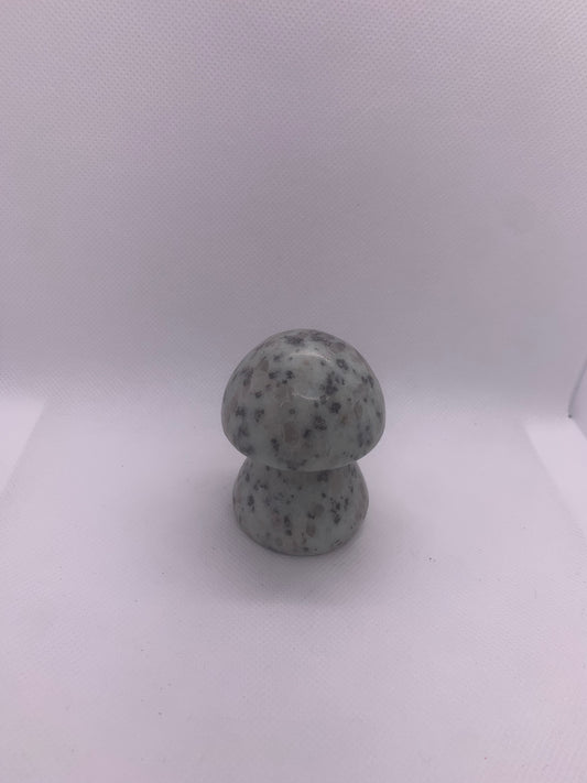Kiwi Jasper